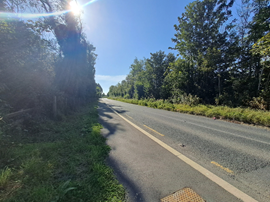 Rathnew to Glenealy